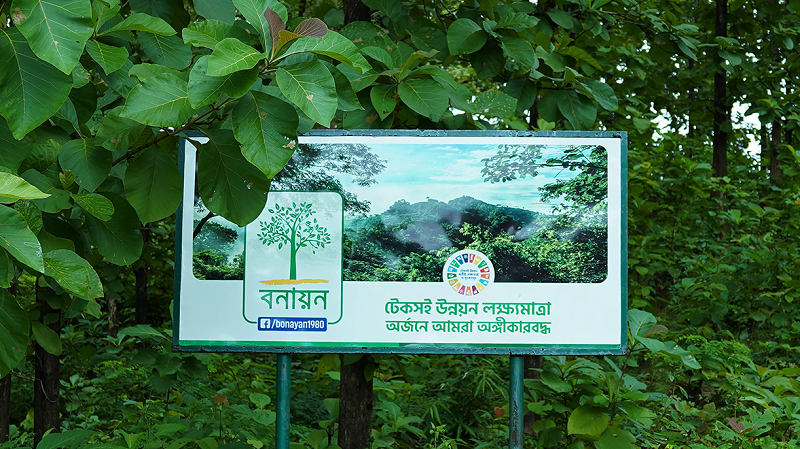 ৪৬ বছর ধরে সবুজ ভবিষ্যৎ গড়ে তোলার পথচলা